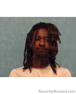 Mugshot of ZAIVION TOREZ SHEPPARD booked in Webster County, Louisiana on April 13, 2026