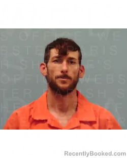 Mugshot of JAYCEE C. DAVIS booked in Webster County, Louisiana on April 14, 2026