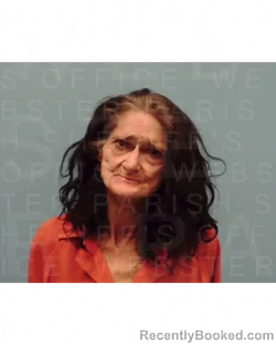 Mugshot of BRENDA LYNN SANBORN booked in Webster County, Louisiana on April 25, 2026