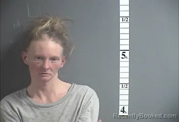 Mugshot of RANDI A BRUCE