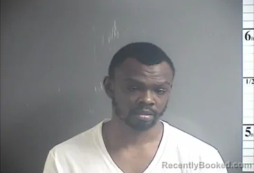 Mugshot of LESTER A ROBINSON