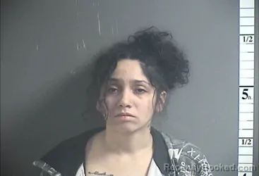 Mugshot of LEE SALAS-SANTIAGO