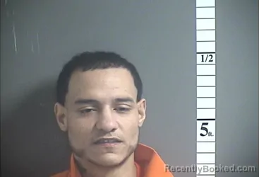 Mugshot of SERGIO M DROZ