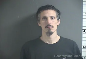 Mugshot of WILLIAM L HENRY