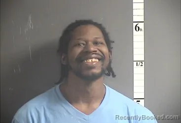 Mugshot of ISON HINTON