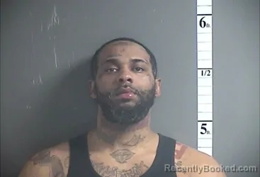 Mugshot of JAMES MILES-RAYFORD JR