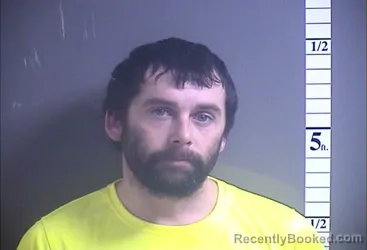 Mugshot of GEORGE M STEENLAND