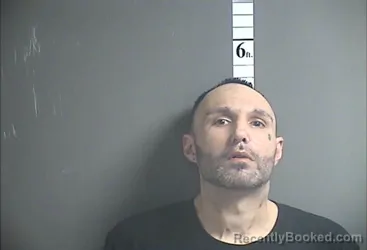 Mugshot of DAVID L BERRY