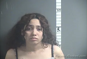 Mugshot of LEE SALAS-SANTIAGO booked in Cumberland County, New Jersey on March 22, 2026