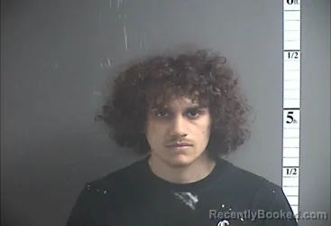 Mugshot of LUIS O LUGO booked in Cumberland County, New Jersey on March 31, 2026