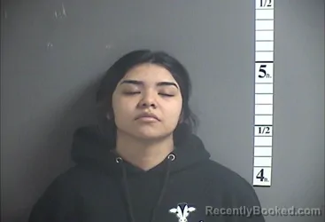 Mugshot of LIZAYRY CHICO booked in Cumberland County, New Jersey on March 31, 2026