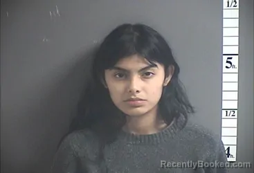 Mugshot of MARLENE CANTORANGONZALEZ booked in Cumberland County, New Jersey on April 4, 2026