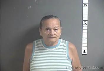 Mugshot of MARIA LLERANDI booked in Cumberland County, New Jersey on July 24, 2026