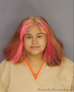 Booking photo from Essex County, New Jersey