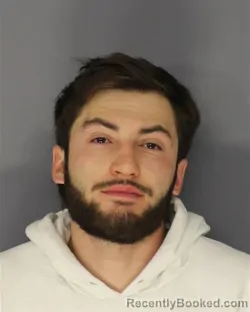 Mugshot of NICHOLAS G DIDIO-SLAAEN