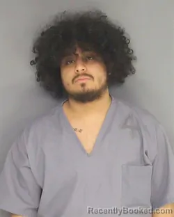 Mugshot of JAYDEN MARTINEZ