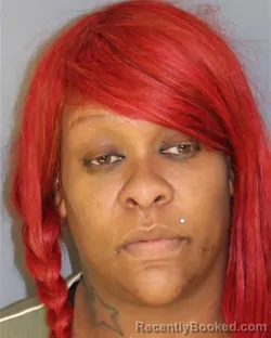 Mugshot of TERRY BURKES