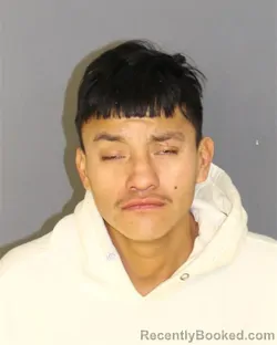 Booking photo from Essex County, New Jersey