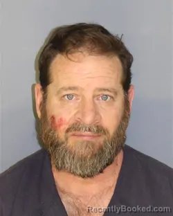 Mugshot of BRIAN VENEZIA