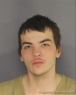 Mugshot of ROBERT ZIMMER