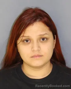 Booking photo from Essex County, New Jersey