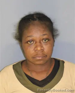 Mugshot of RENEE R MCMILLAN