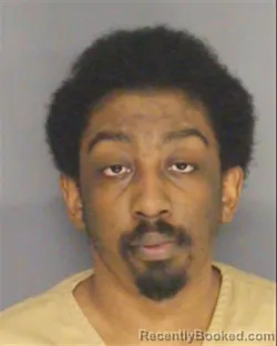 Mugshot of DONYA D KING-NELSON