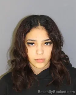 Mugshot of YAKILSY D ANZIANI DE LA ROSA