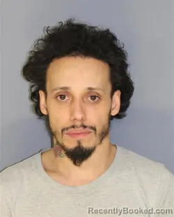 Mugshot of WILFREDO ORTIZ