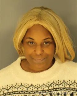 Mugshot of LORI JOHNSON