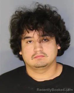 Mugshot of RAFAEL RIVERA