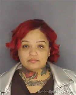 Mugshot of MADELINE J ORTIZ