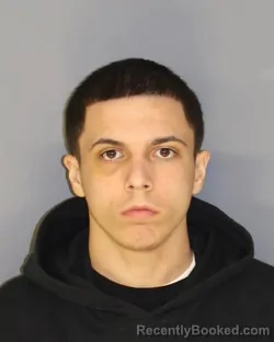 Mugshot of NICOANGELO L GISANDI