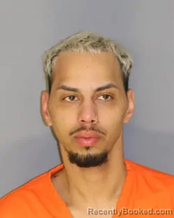Mugshot of ELIAS ROSADO