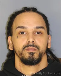 Mugshot of LUIS J FRANCO