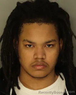 Mugshot of NASJAMEER I WILLIAMS