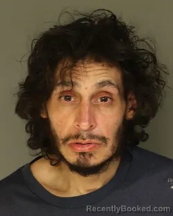 Mugshot of ARVIN RIVAS