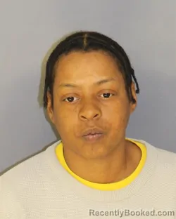 Mugshot of SHELIA E ROBINSON WILLIAM