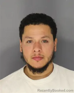 Mugshot of DANIEL E MARTHAVERSA