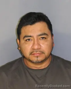 Booking photo from Essex County, New Jersey