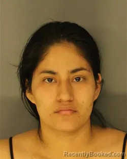 Mugshot of ERIKA L DELGADO