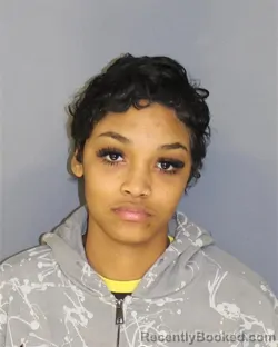 Mugshot of MARIANA C CANDELARIO ABREU