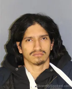 Mugshot of BRAYAN D LLIQUICOTA
