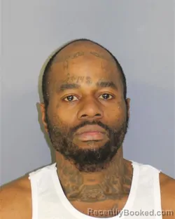 Mugshot of KAREE N WILLIAMS