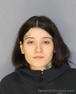 Mugshot of VALENTINA GOMEZ