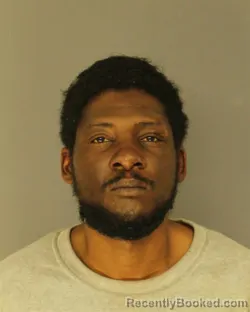 Mugshot of EVANDREA L JOHNSON