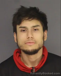 Mugshot of RENAN FREITAS