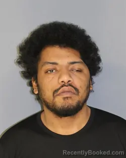 Mugshot of MICHAEL C BRODIE