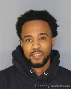 Mugshot of RICARDO O RICKETTS