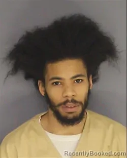 Mugshot of ERIC HAYES